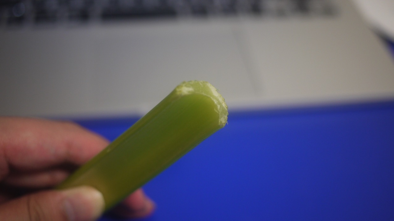 P1030874.JPG P1030874